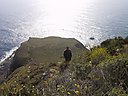 IMG_0181